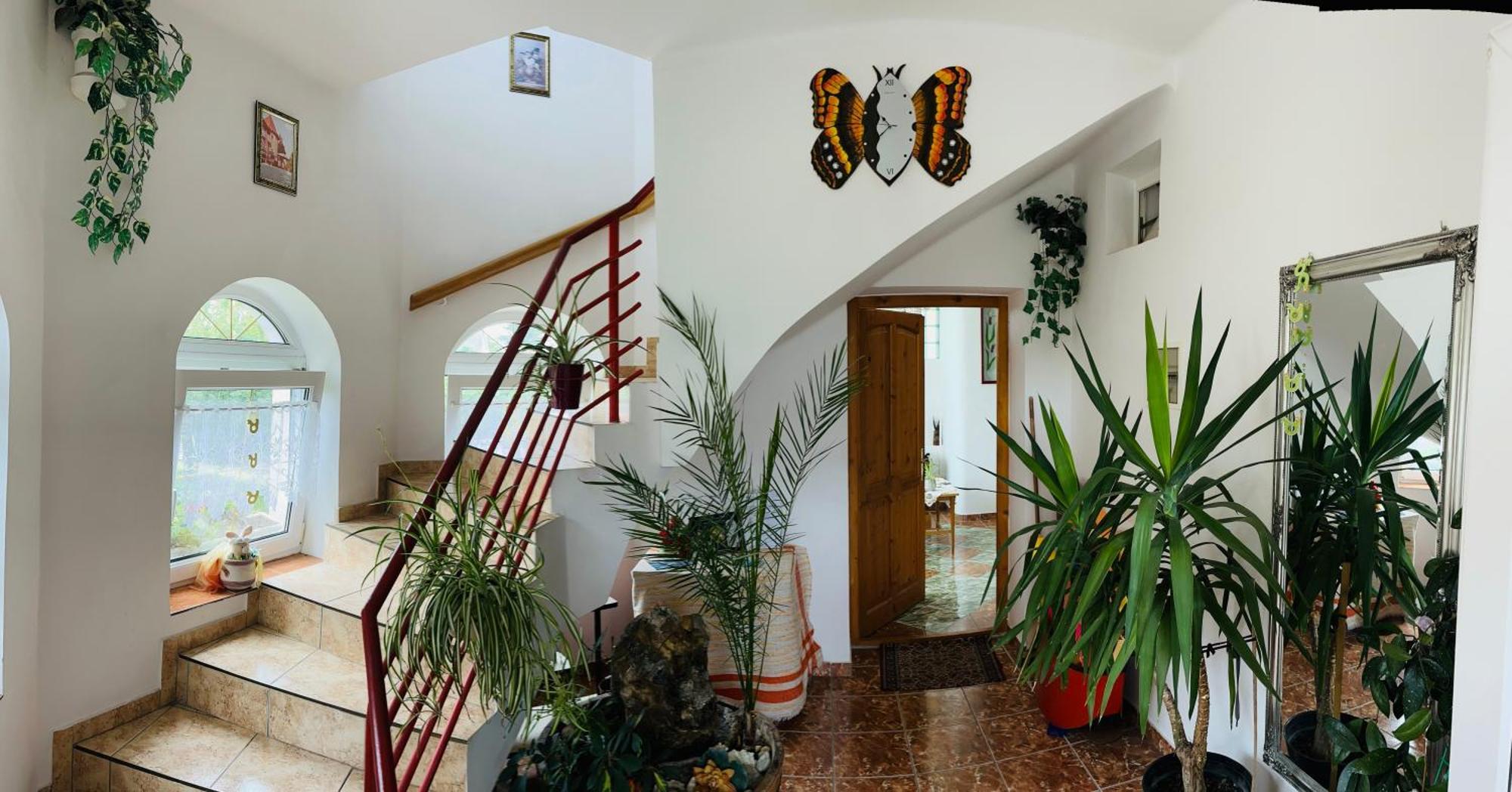 Joker Villa Apartmanhaus Heviz Exterior foto